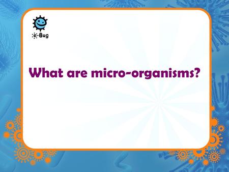 What are micro-organisms?. Microbes –Microbes are single celled organisms –Too small to be seen with the naked eye –They are found practically EVERYWHERE.
