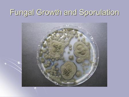 Fungal Growth and Sporulation