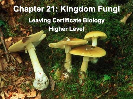 Chapter 21: Kingdom Fungi Leaving Certificate Biology Higher Level.
