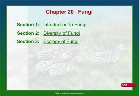 Chapter 20 Fungi Section 1: Introduction to Fungi