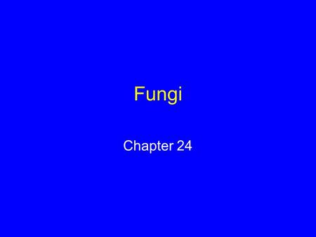 Fungi Chapter 24.