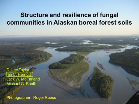 Structure and resilience of fungal communities in Alaskan boreal forest soils D. Lee Taylor Ian C. Herriott Jack W. McFarland Michael G. Booth Photographer: