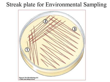 Streak plate for Environmental Sampling. 4 Quadrant Streak Plate 1. swab 2. loop 3. loop 4. loop.