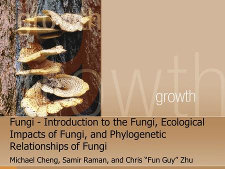 Fungi - Introduction to the Fungi, Ecological Impacts of Fungi, and Phylogenetic Relationships of Fungi Michael Cheng, Samir Raman, and Chris “Fun Guy”
