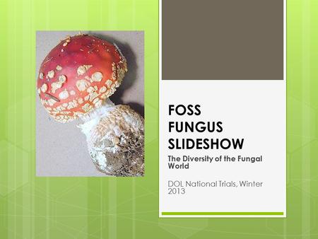 FOSS FUNGUS SLIDESHOW The Diversity of the Fungal World DOL National Trials, Winter 2013.