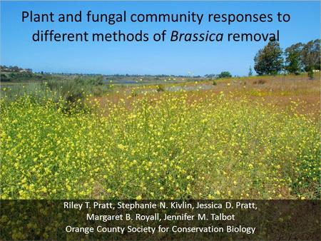 Plant and fungal community responses to different methods of Brassica removal Riley T. Pratt, Stephanie N. Kivlin, Jessica D. Pratt, Margaret B. Royall,