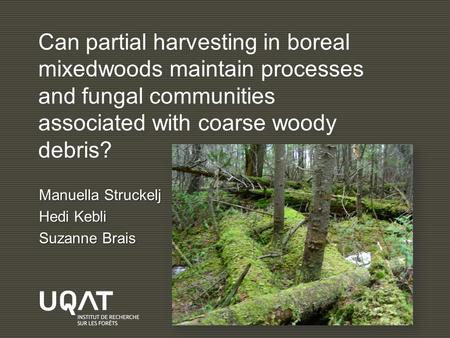 Can partial harvesting in boreal mixedwoods maintain processes and fungal communities associated with coarse woody debris? Manuella Struckelj Hedi Kebli.