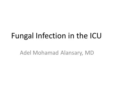 Fungal Infection in the ICU