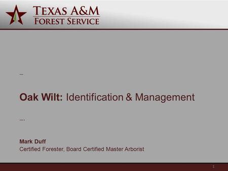Oak Wilt: Identification & Management … …. Mark Duff Certified Forester, Board Certified Master Arborist 1.