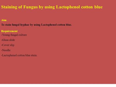 Staining of Fungus by using Lactophenol cotton blue