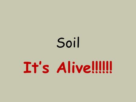 Soil It’s Alive!!!!!!. What is soil? Soil is the top layer of the Earth’s surface. You might call it dirt.