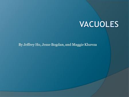 By Jeffrey Ho, Jesse Bogdan, and Maggie Klureza. Basics of Vacuoles  Vacuoles are: relatively large, membrane-bound organelles not a distinct shape but.