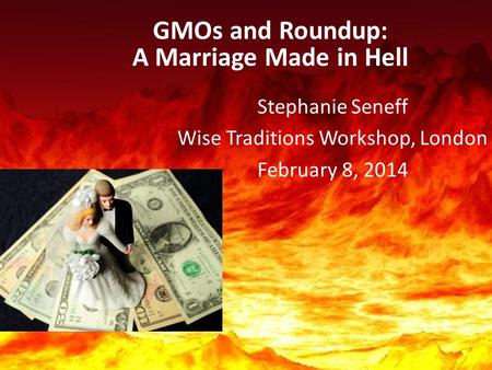 GMOs and Roundup: A Marriage Made in Hell Stephanie Seneff Wise Traditions Workshop, London February 8, 2014.