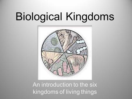 An introduction to the six kingdoms of living things