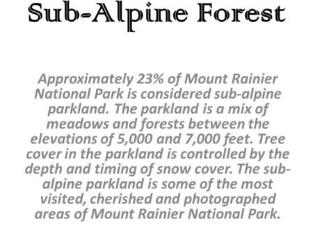 Sub-Alpine Forest Approximately 23% of Mount Rainier National Park is considered sub-alpine parkland. The parkland is a mix of meadows and forests between.