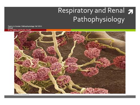  Respiratory and Renal Pathophysiology Topics in Human Pathophysiology Fall 2011 Gilead Drug Safety and Public Health.