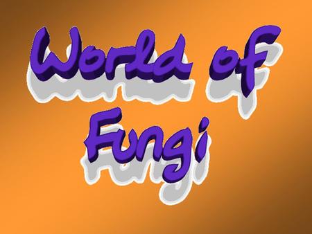 Introduction to the Fungi Some things you should know……