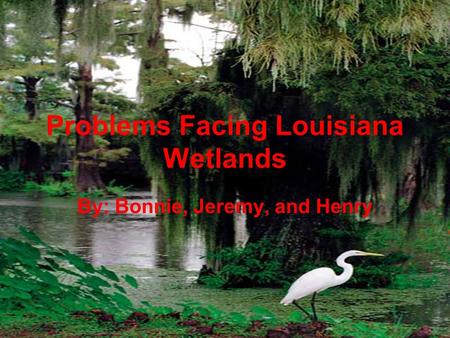 Problems Facing Louisiana Wetlands By: Bonnie, Jeremy, and Henry.