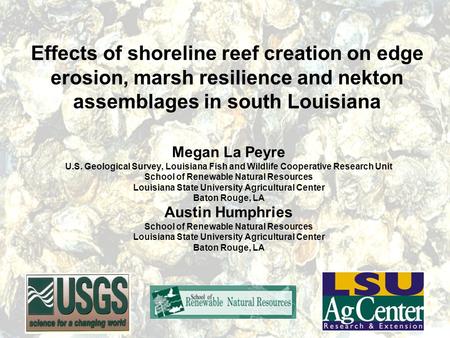 Effects of shoreline reef creation on edge erosion, marsh resilience and nekton assemblages in south Louisiana Megan La Peyre U.S. Geological Survey, Louisiana.