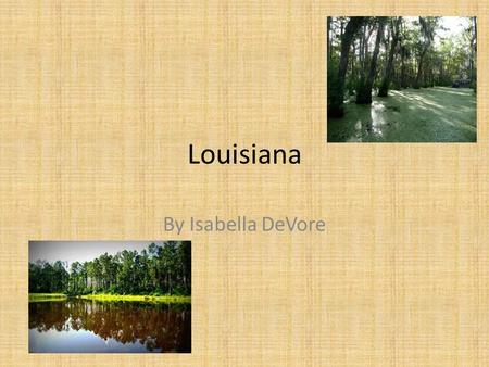 Louisiana By Isabella DeVore. Baton Rouge This city is the state capital. Their state nickname is the Pelican State!!!