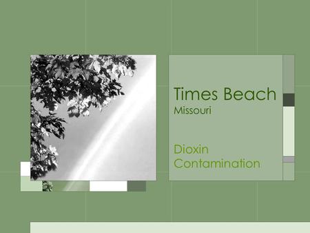 Times Beach Missouri Dioxin Contamination. Brief Outline Times Beach is a small town in St. Louis County, Missouri Population ~ 1500 Problems began 1970;