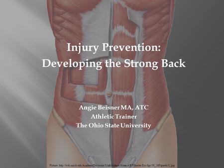 Injury Prevention: Developing the Strong Back Angie Beisner MA, ATC Athletic Trainer The Ohio State University Picture: