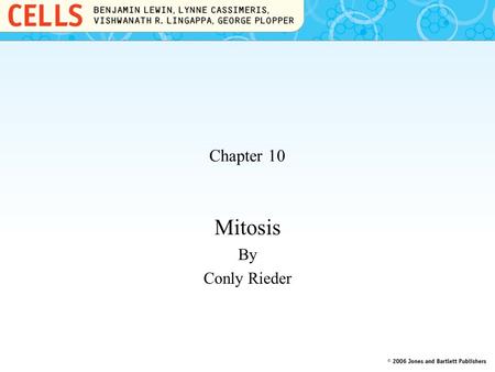 Chapter 10 Mitosis By Conly Rieder. 10.1 Introduction All cells are produced by the division of other cells through a process called mitosis. Mitosis.