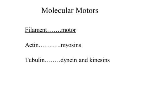 Molecular Motors Filament…….motor Actin…….….myosins Tubulin….….dynein and kinesins.