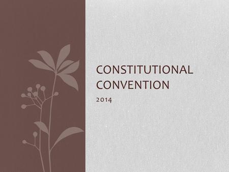 2014 CONSTITUTIONAL CONVENTION Setting up speeches Write each speech on a separate sheet of paper. Put your delegate name and state as your heading.