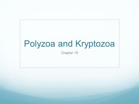 Polyzoa and Kryptozoa Chapter 15.