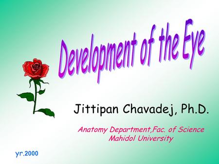 Jittipan Chavadej, Ph.D. Anatomy Department,Fac. of Science Mahidol University yr. 2000.