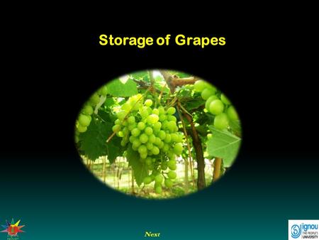 Next Storage of Grapes. Next End Previous Storage of Grapes Introduction Grapes are cultivated in many countries of the world. India produces only about.