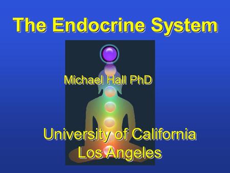 The Endocrine System Michael Hall PhD University of California Los Angeles University of California Los Angeles.