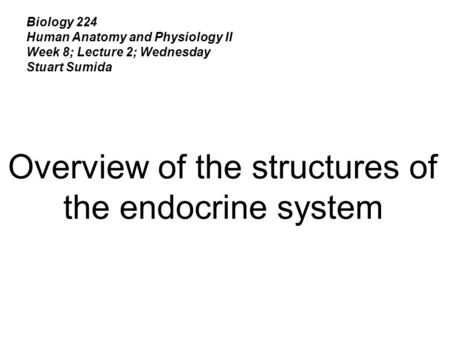 Biology 224 Human Anatomy and Physiology II Week 8; Lecture 2; Wednesday Stuart Sumida Overview of the structures of the endocrine system.
