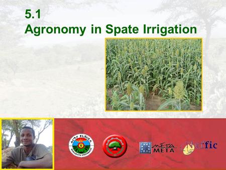 5.1 Agronomy in Spate Irrigation. AGRONOMY IN SPATE IRRIGATION  Yields in spate irrigation are considerably higher than in rain-fed agriculture  There.