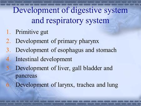 Development of digestive system and respiratory system
