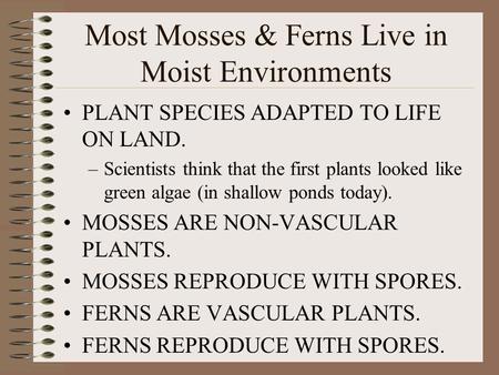 Most Mosses & Ferns Live in Moist Environments PLANT SPECIES ADAPTED TO LIFE ON LAND. –Scientists think that the first plants looked like green algae.