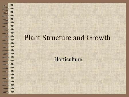 Plant Structure and Growth Horticulture. Plant Taxonomy: How Plants Are Named Uses Latin Names(Example- Red Maple) Kingdom-(Plant) Phylum- (Spermatophyta)