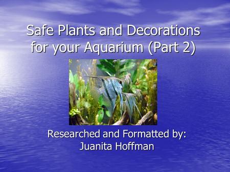 Safe Plants and Decorations for your Aquarium (Part 2) Researched and Formatted by: Juanita Hoffman.
