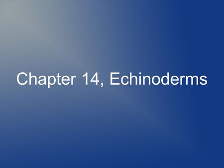 Chapter 14, Echinoderms. Characteristics of Phylum Echinodermata One of the strangest and most unusual of all the phylums in the animal kingdom Echinoderms.