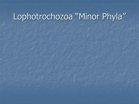 Lophotrochozoa “Minor Phyla”