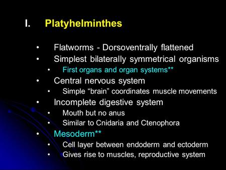 I. I.Platyhelminthes Flatworms - Dorsoventrally flattened Simplest bilaterally symmetrical organisms First organs and organ systems** Central nervous system.