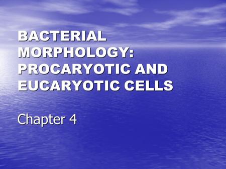 BACTERIAL MORPHOLOGY: PROCARYOTIC AND EUCARYOTIC CELLS Chapter 4.