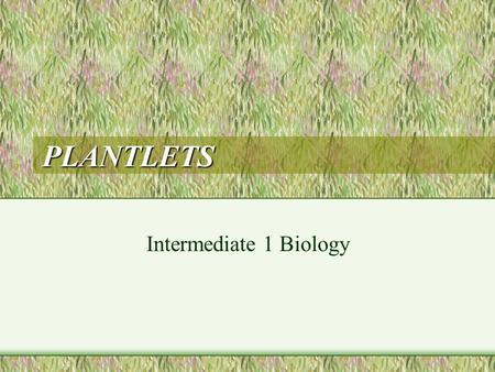 PLANTLETS Intermediate 1 Biology. INTRODUCTION A plantlet is a tiny version of a plant still attached somewhere to its parent plant The plantlets obtain.
