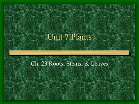 Unit 7 Plants Ch. 23 Roots, Stems, & Leaves.