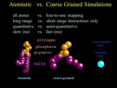 Atomistic vs. Coarse Grained Simulations all atoms vs. four-to-one mapping long range vs. short range interactions only quantitative vs. semi-quantitative.
