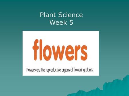 Plant Science Week 5.