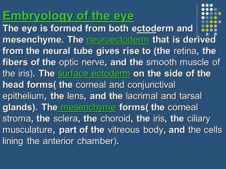Embryology of the eye The eye is formed from both ectoderm and mesenchyme. The neuroectoderm that is derived from the neural tube gives rise to (the retina,