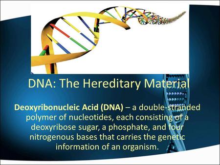 DNA: The Hereditary Material Deoxyribonucleic Acid (DNA) – a double-stranded polymer of nucleotides, each consisting of a deoxyribose sugar, a phosphate,