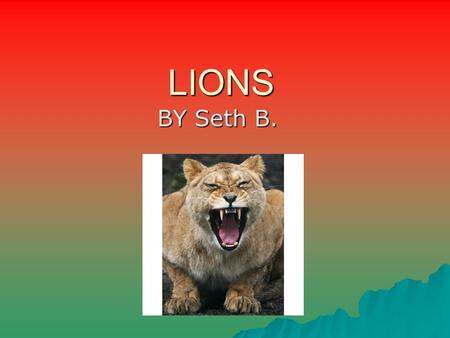 LIONS BY Seth B.. What does the lion look like?  We have a lot of fur  Sharp teeth  Weigh over a 100 pounds  They have tan fur  Have short tails.